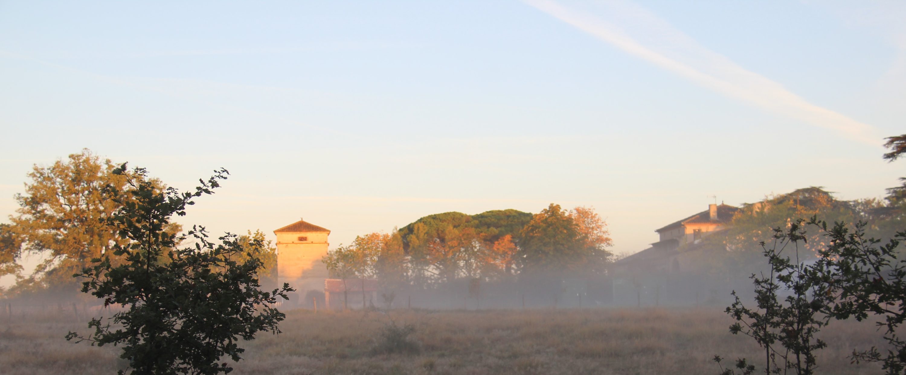 IMG_7200 (2)