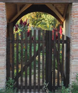 recad_IMG_3952