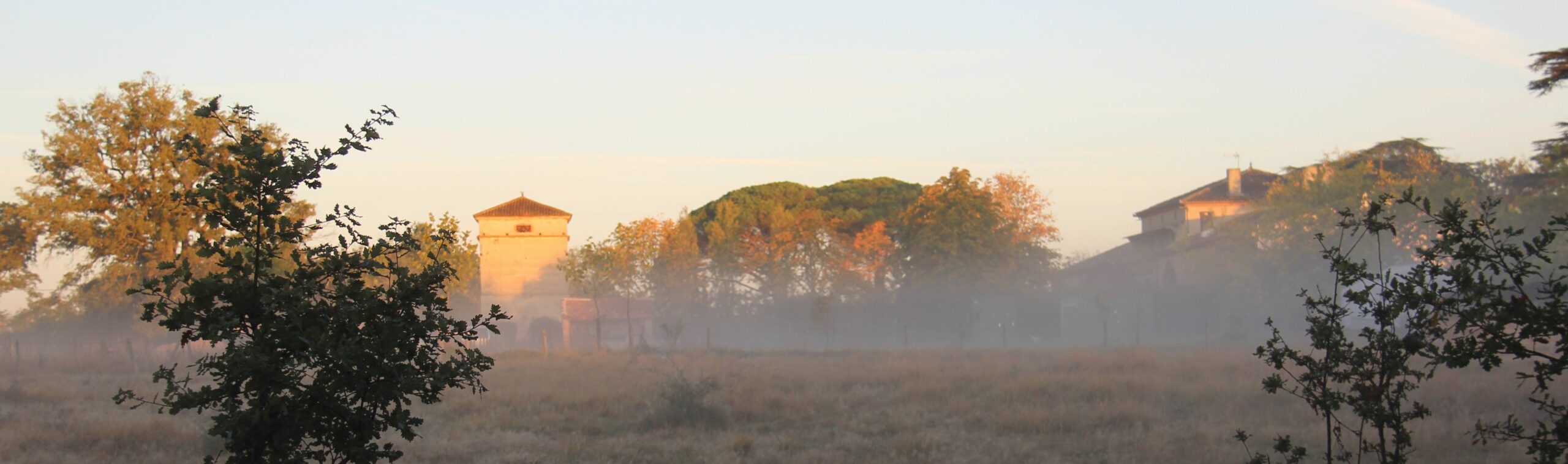 propriété dans brouillard matinal